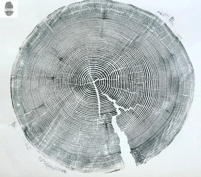 Crater Lake art, Oregon Print, Tree ring print, Woodcut print, Wood Wall art, Sacred Geometry, Forestry, National Parks, Signed Original