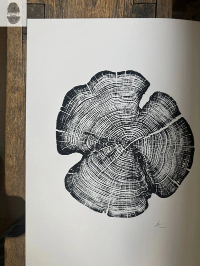 18x24 inch original white ink woodcut print of cedar tree rings from Reno County, Kansas on black paper, signed by the artist