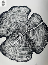 Black and white woodcut print showing detailed concentric growth rings and cracks of a cedar tree cross-section from Reno County, Kansas, signed by the artist.