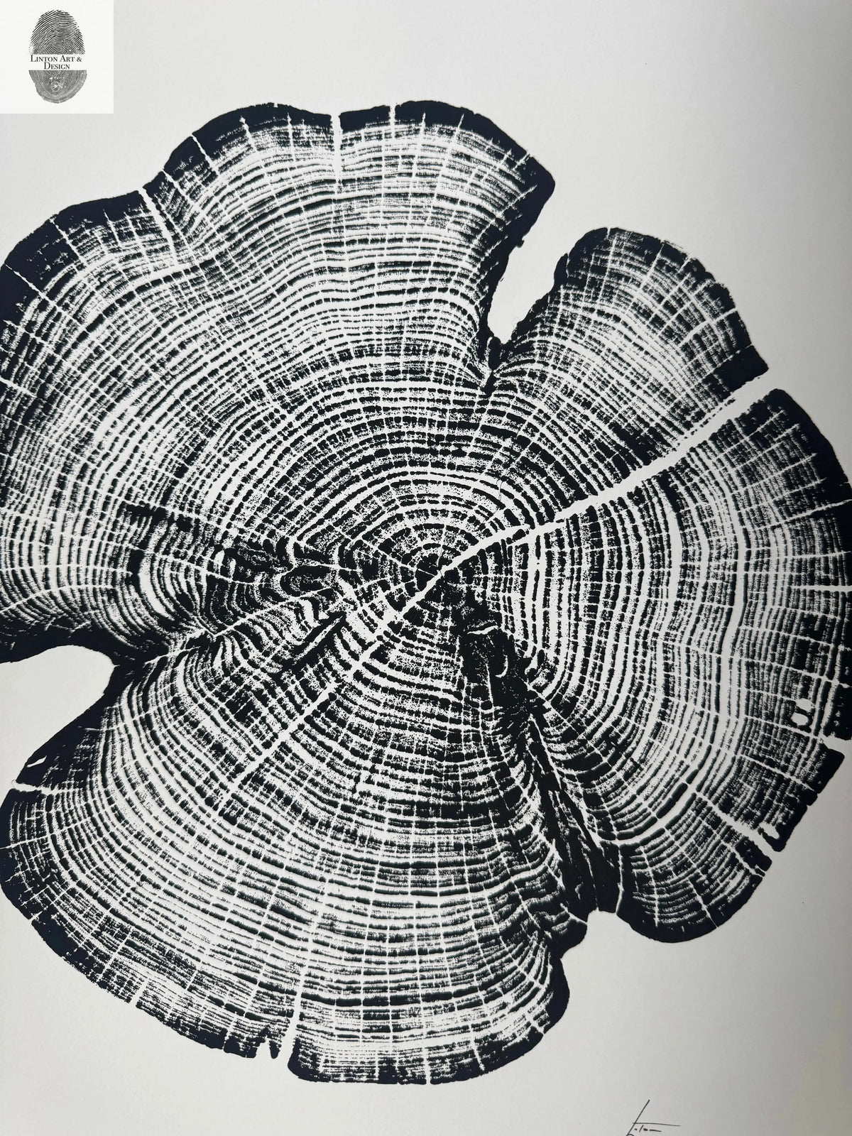 Black and white woodcut print showing detailed concentric growth rings and cracks of a cedar tree cross-section from Reno County, Kansas, signed by the artist.