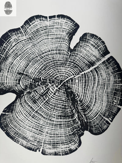 Cedar Tree Ring Print – Reno County, Kansas – 18x24 Original Signed Woodcut