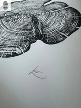 Black ink woodcut print of cedar tree rings with signature below on light background, showing detailed grain patterns and irregular outer edge.