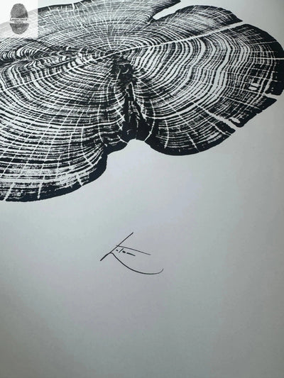 Cedar Tree Ring Print – Reno County, Kansas – 18x24 Original Signed Woodcut