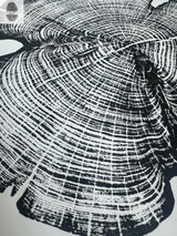 Black and white woodcut print showing detailed growth rings and cracked texture of a cedar tree cross-section from Reno County, Kansas.
