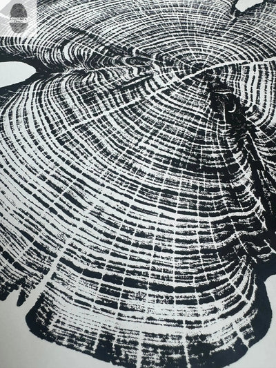 Cedar Tree Ring Print – Reno County, Kansas – 18x24 Original Signed Woodcut