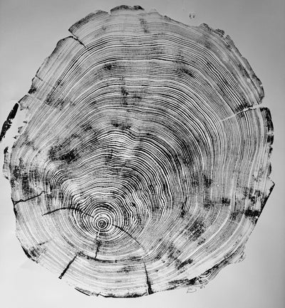 San Francisco, Real Redwood Art, 36x48 Inches.
Original Signed artwork made from Real Redwood