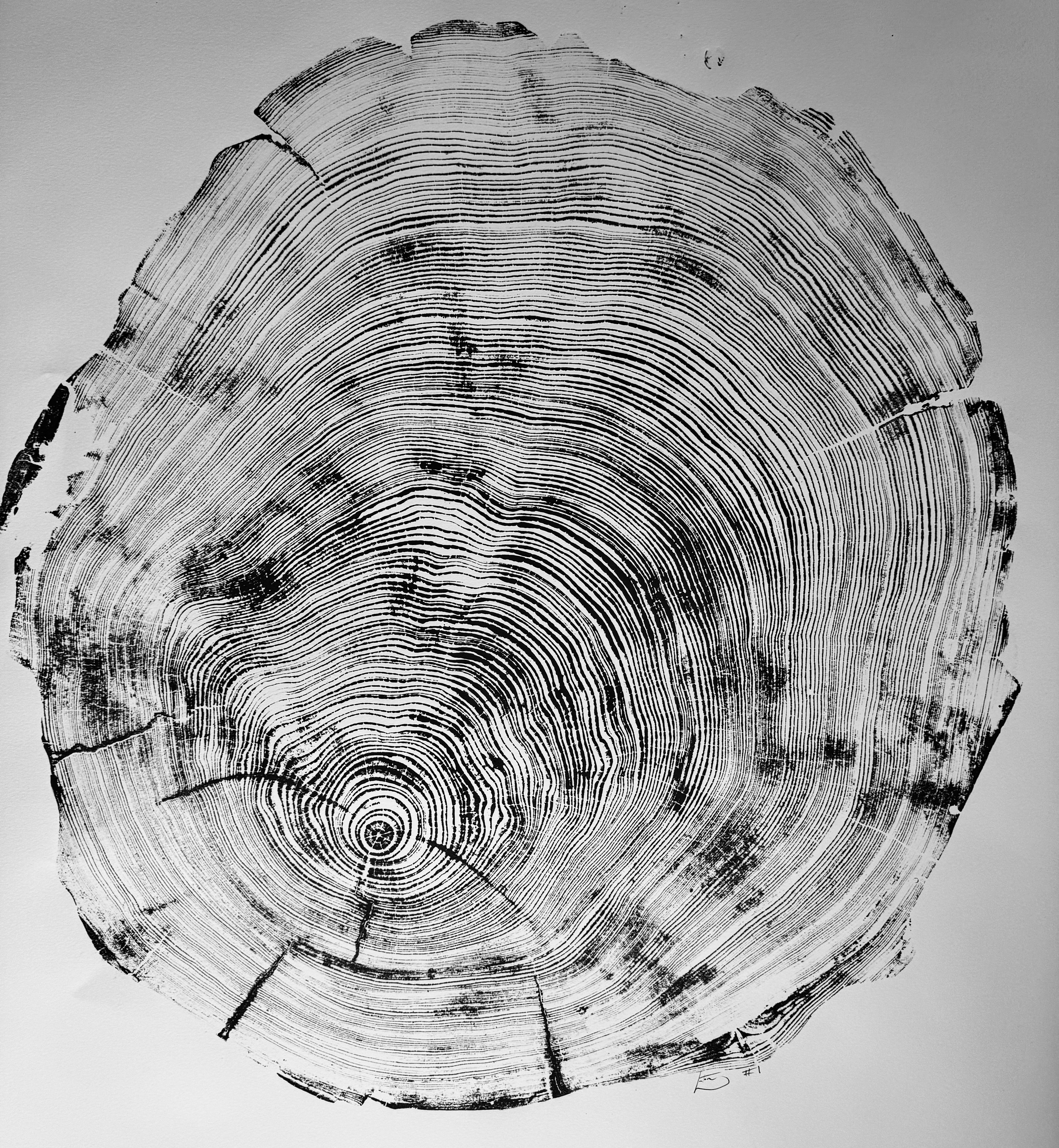 San Francisco, Real Redwood Art, 36x48 Inches.
Original Signed artwork made from Real Redwood