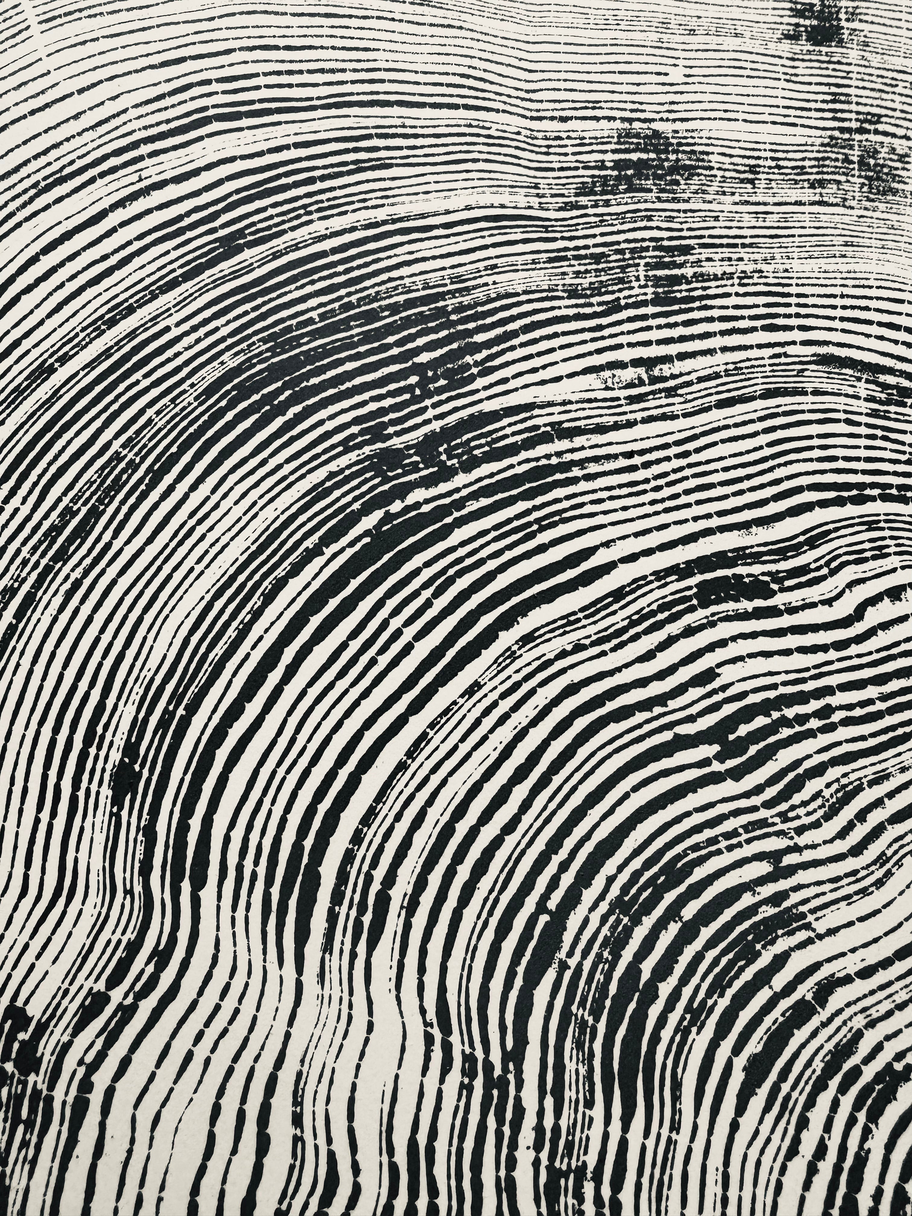 San Francisco, Real Redwood Art, 36x48 Inches.
Original Signed artwork made from Real Redwood