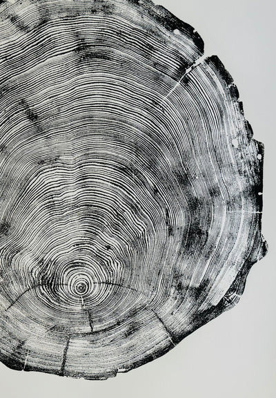 San Francisco, Real Redwood Art, 36x48 Inches.
Original Signed artwork made from Real Redwood