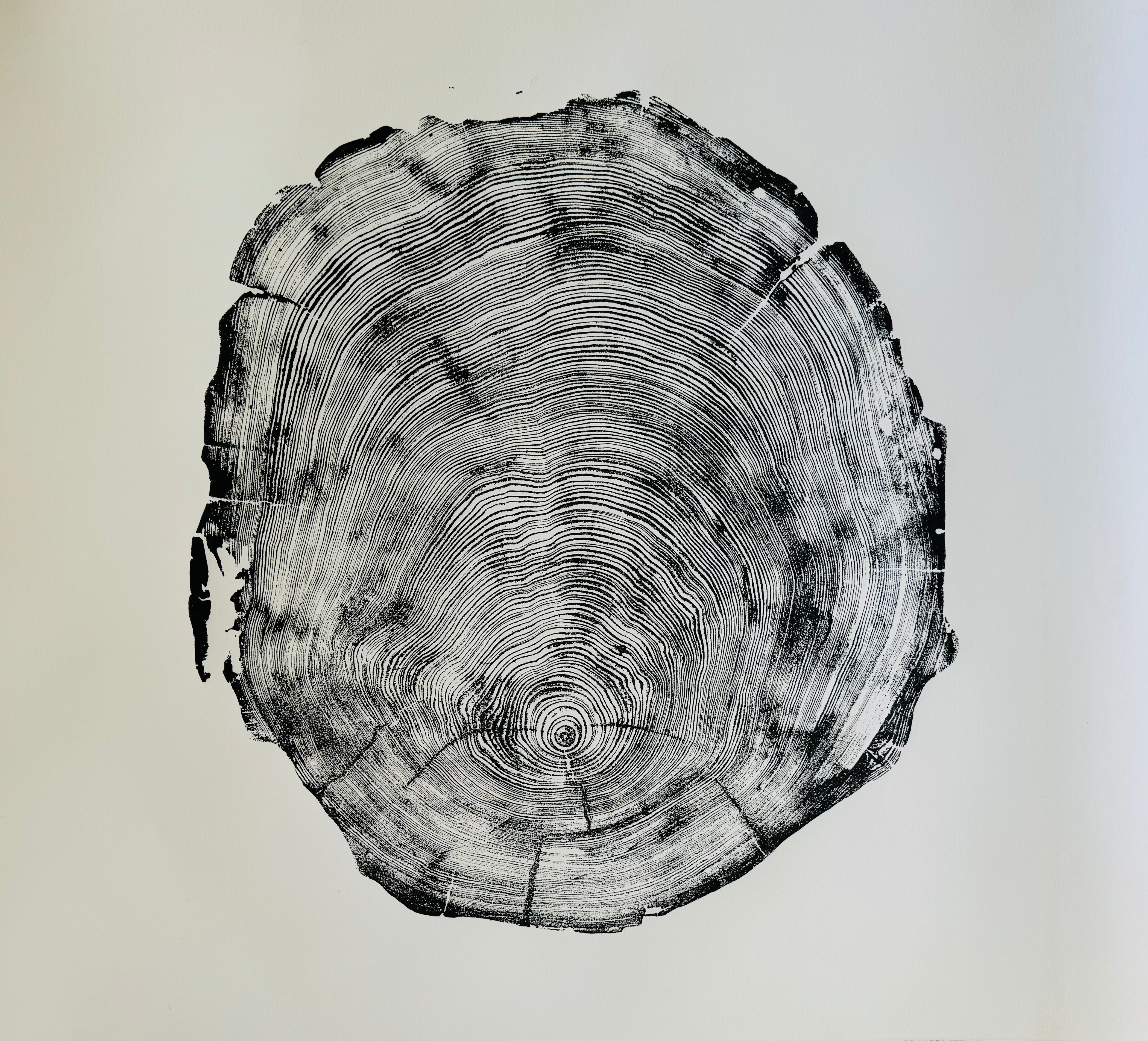 San Francisco, Real Redwood Art, 36x48 Inches.
Original Signed artwork made from Real Redwood