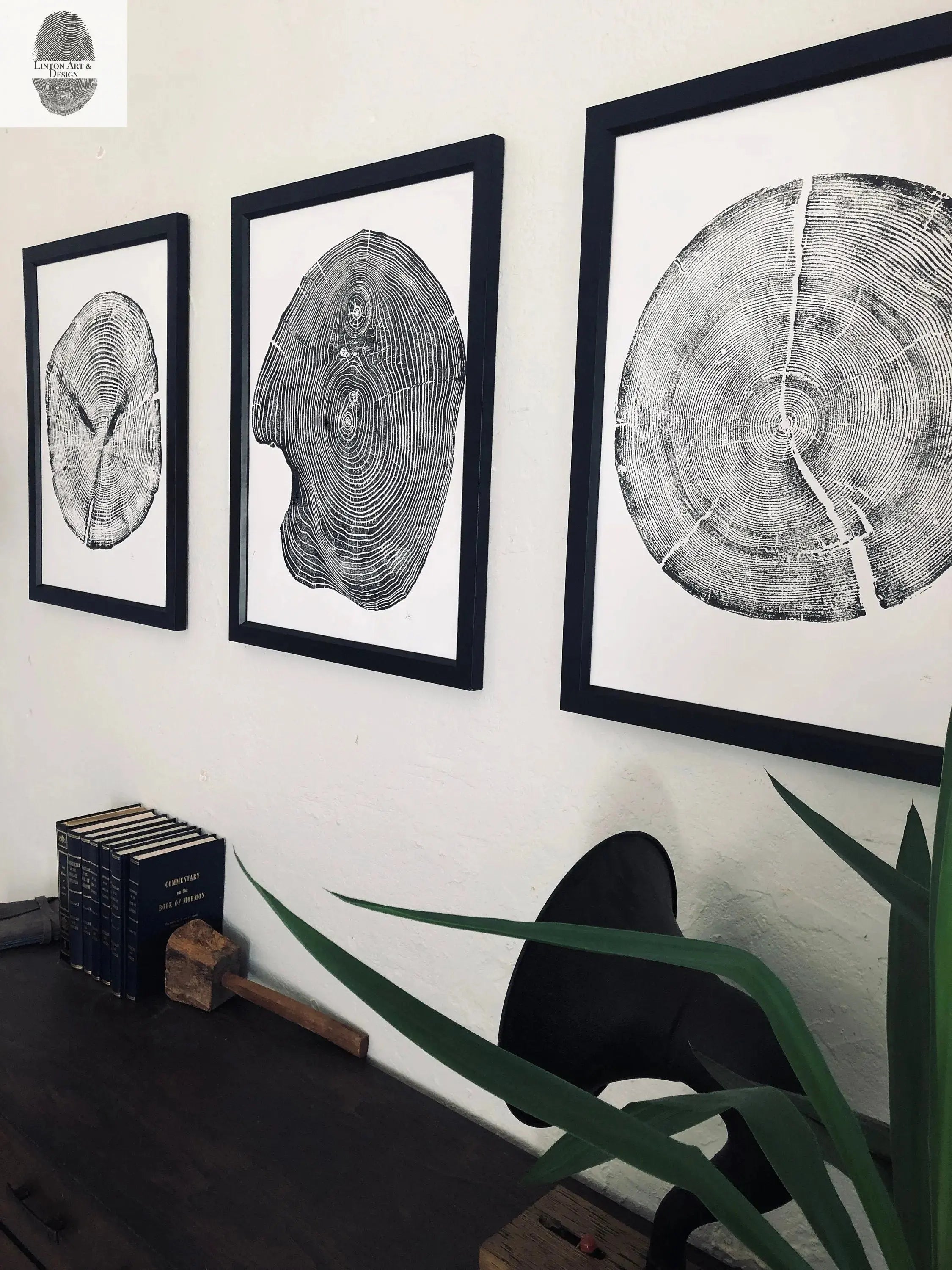 Set of three wood slice wall art prints featuring tree ring patterns from Alaska cedar, Utah pine, and mulberry trees