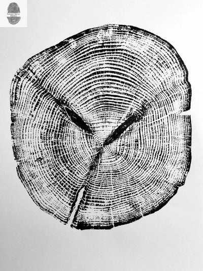 Set of 3, Utah Art, Alaska Art, Ohio State Art, Mulberry Tree, Cedar Tree, Wood Slice Wall Art