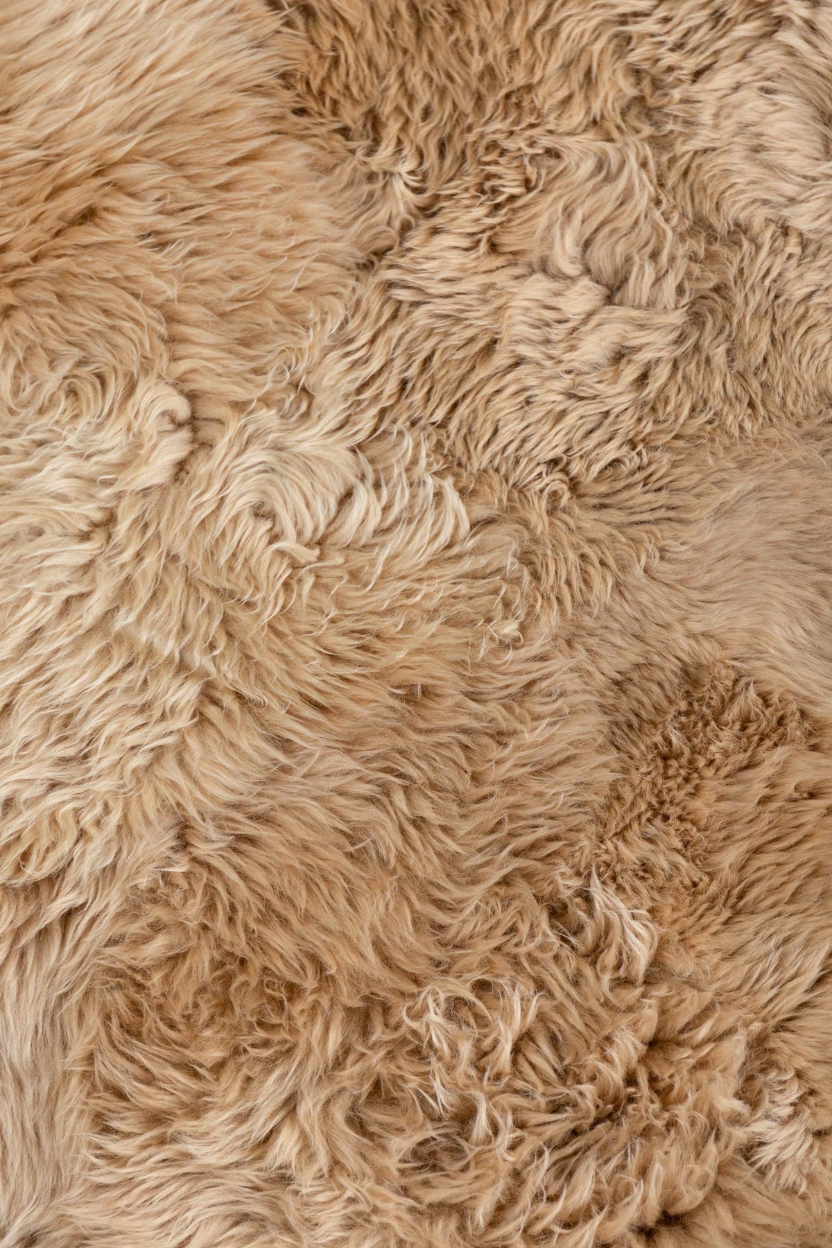 Long Hair - Beige Camel Sheepskin Rug by Homelosophy