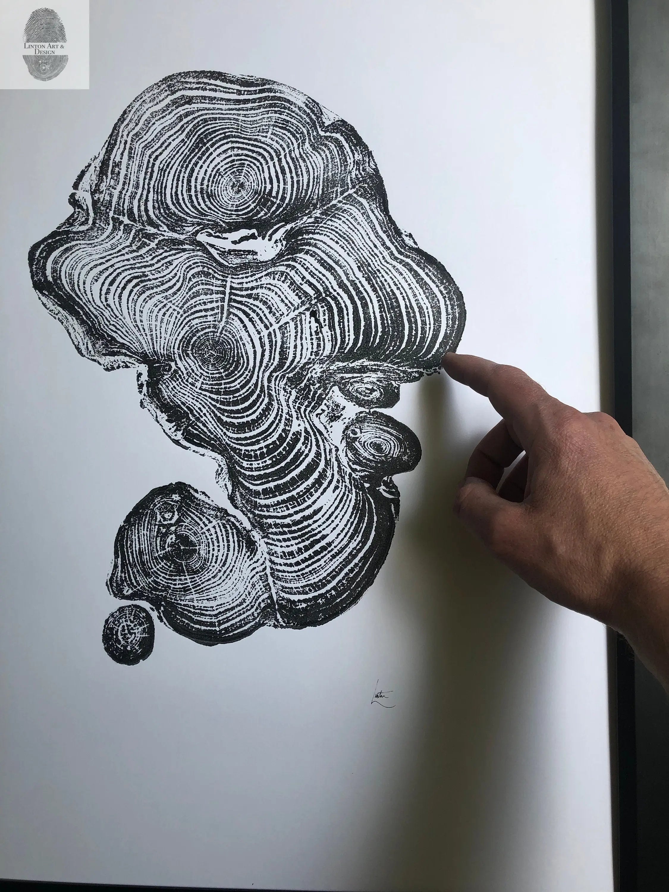Cypress from Ireland tree ring art print, an 18x24 inch woodcut showing tree rings on textured paper