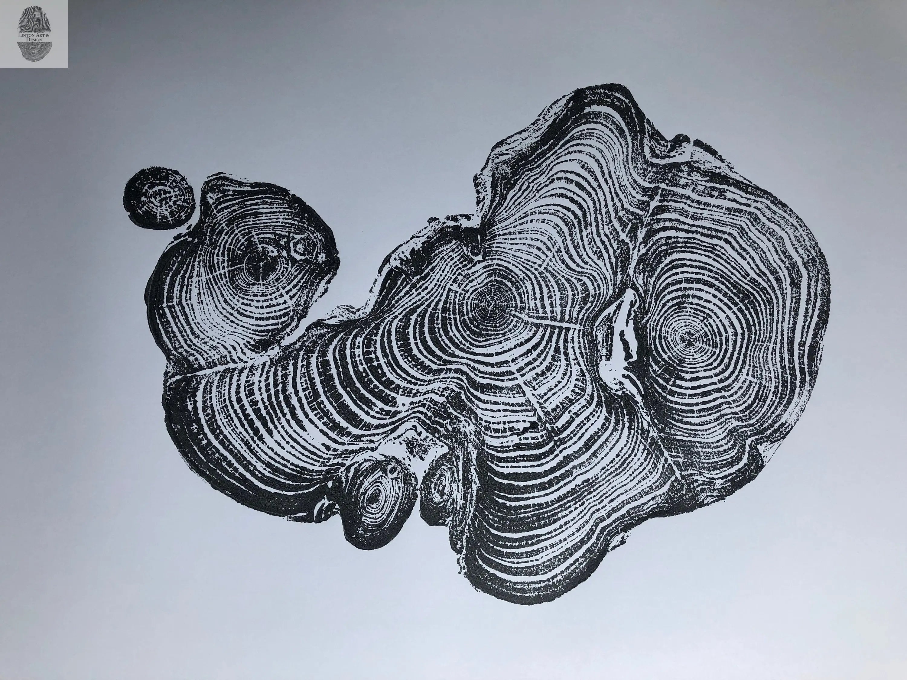 Cypress from Ireland, Tree ring art print, 18x24 inch woodcut by Linton Art