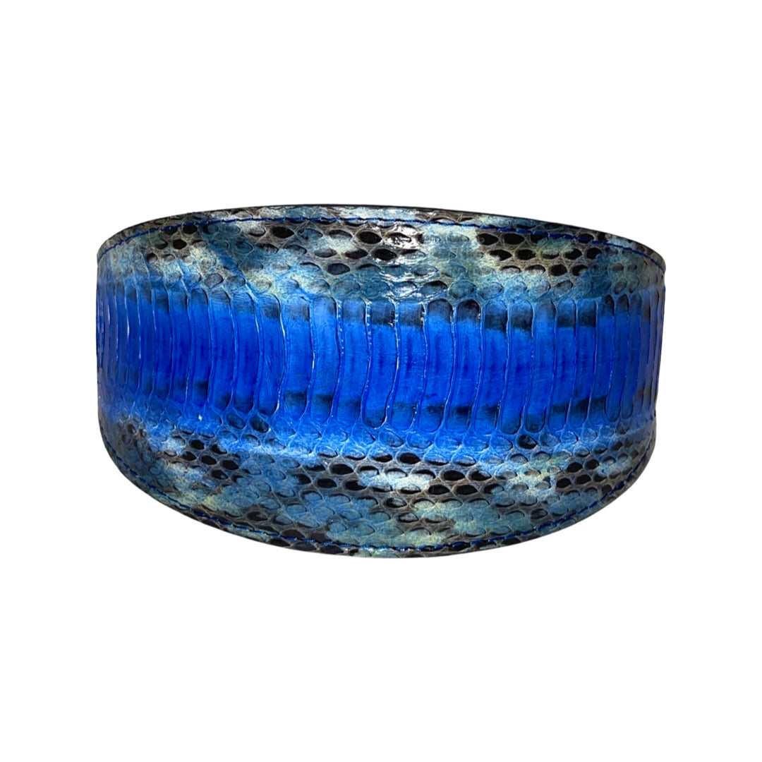 Close-up image of a multi-blue tone snake 3-inch wide style collar showing textured pattern and color variation