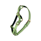 Green snake-textured harness with gold-tone buckles and adjustable straps on a white background