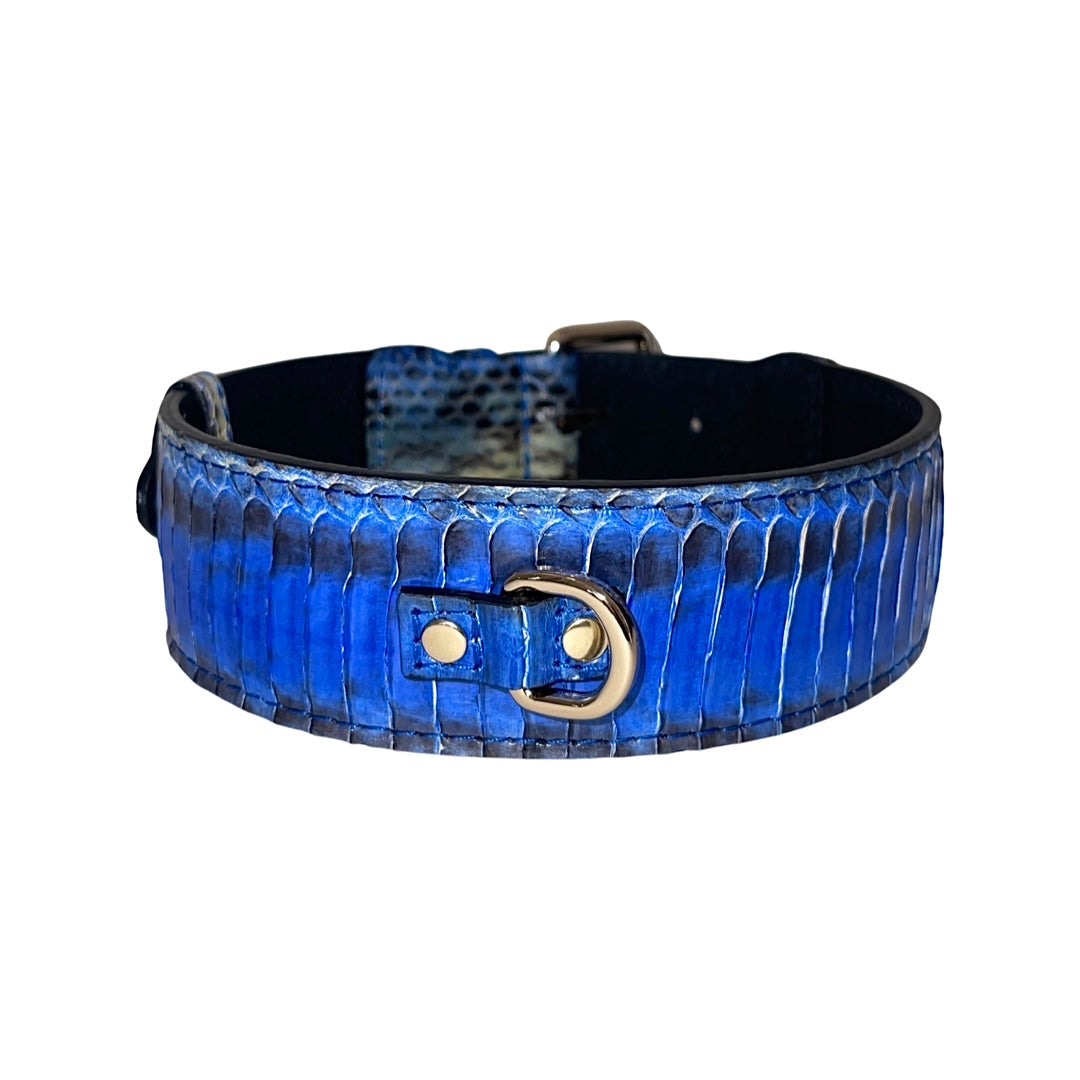 Wide blue-toned snake skin pattern dog collar with a gold D-ring and rivet details on a black backing, shown against a white background.