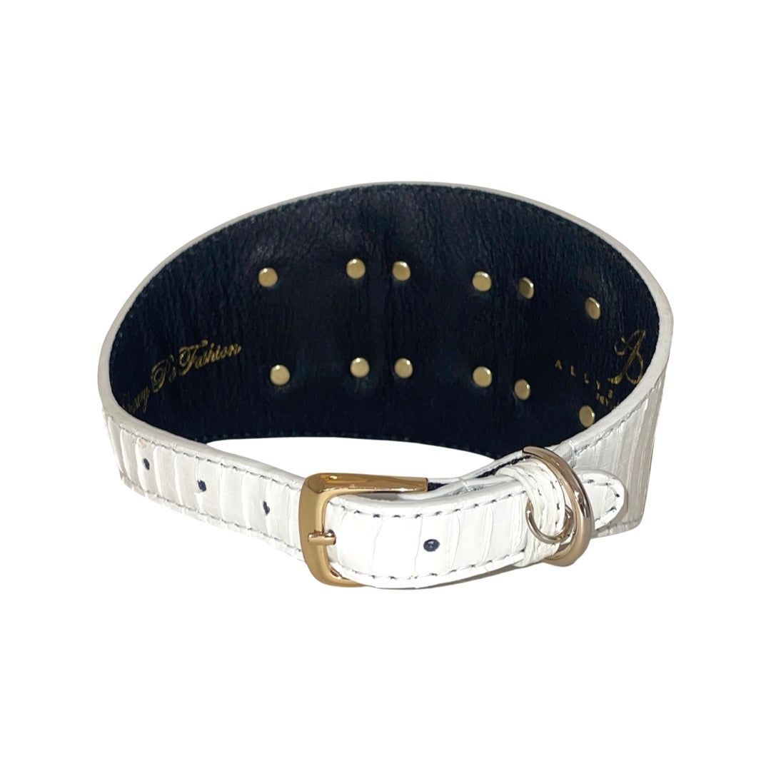 White textured 4-inch wide leather collar with gold buckle and multiple small gold rivets on the inner black lining, shown in a curved position.