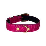 Small fuchsia pink snake-patterned collar with gold buckle and D-ring, shown against a white background