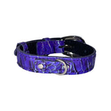 Purple collar with iridescent silver snake skin pattern, featuring a silver metal buckle and D-ring on a black inner lining.
