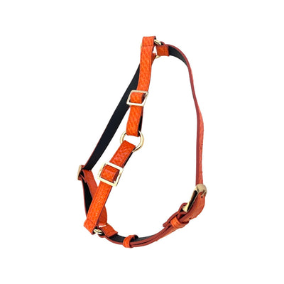 Orange Snake Harness on a white background showing the harness structure and leather lining