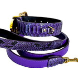Purple python leather dog collar and matching leash with gold hardware, featuring natural python scale texture and smooth purple leather sections.
