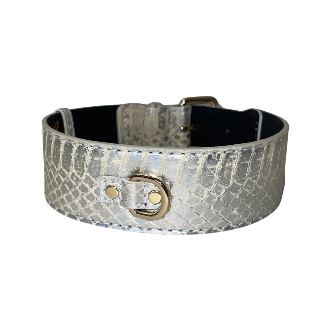 Wide dog collar with silver snake-patterned surface and gold metal buckle and D-ring hardware, shown against a white background.