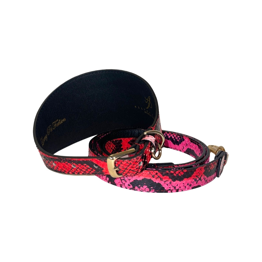 4-inch wide collar and matching leash set with a snake pattern in fuchsia, light pink, red, and black colors, featuring gold-tone buckles and a black interior lining.