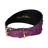 Boysenberry purple embossed Italian leather collar with gold buckle, D-ring, and studded pattern, 3 inches wide, inner side black with gold logo text.