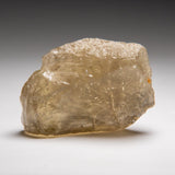Close-up image of Genuine Libyan Desert Glass, a rough translucent yellow-green desert glass specimen