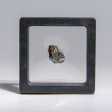 Genuine Sikhote-Alin Meteorite in Display Box