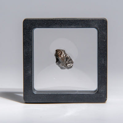 Genuine Sikhote-Alin Meteorite displayed in a box showing its iron metallic surface with natural texture