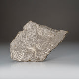 Genuine Muonionalusta Meteorite Slice (332 grams) by Astro Gallery of Gems - main product image for Resin Society