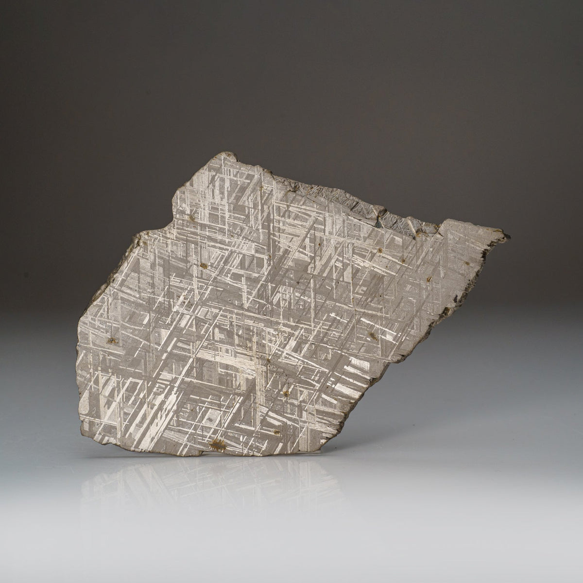 Genuine Muonionalusta Meteorite Slice (332 grams) by Astro Gallery of Gems - main product image for Resin Society