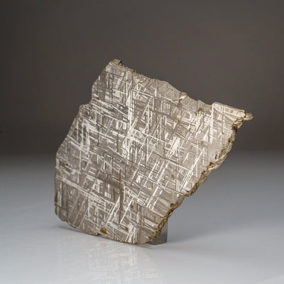 Genuine Muonionalusta Meteorite Slice (332 grams) by Astro Gallery of Gems - product image 4 for Resin Society