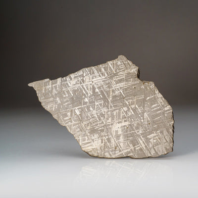 Genuine Muonionalusta Meteorite Slice (332 grams) by Astro Gallery of Gems - product image 5 for Resin Society