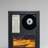 Rare Rumuruti (R3) Meteorite in Glass Display Box