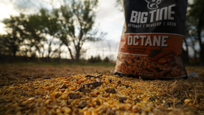 BIG TINE OCTANE