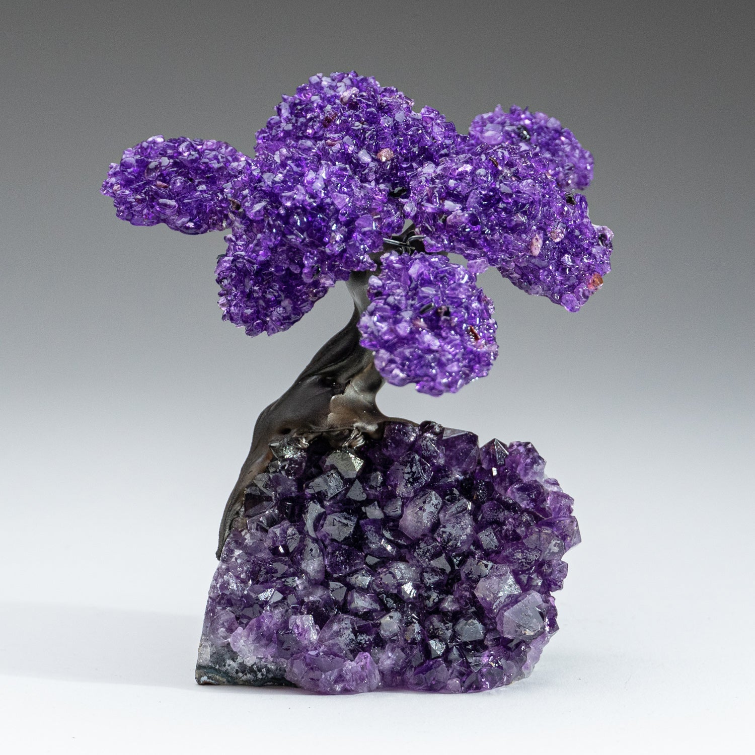 The Protection Tree Medium amethyst clustered gemstone tree on amethyst matrix, showing purple clustered leaves and crystal base