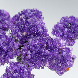 The Protection Tree (Medium) - Amethyst Clustered Gemstone Tree on Amethyst Matrix