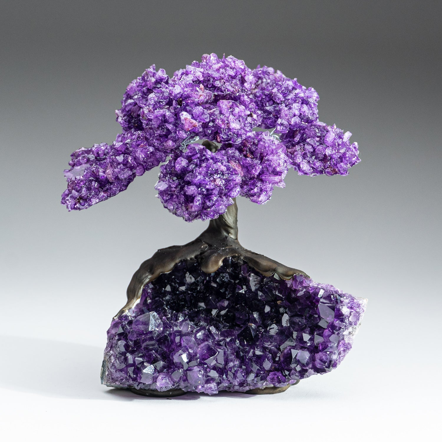 Genuine Amethyst Clustered Gemstone Tree on Amethyst Matrix - The Protection Tree