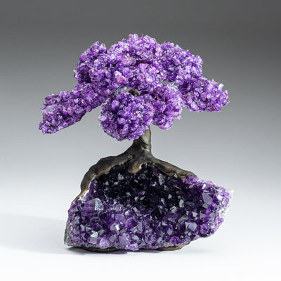 Genuine Amethyst Clustered Gemstone Tree on Amethyst Matrix - The Protection Tree