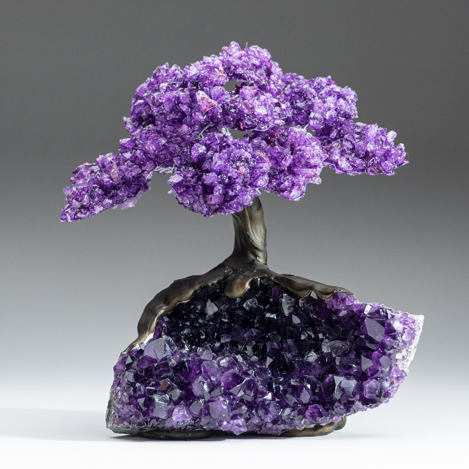 Genuine Amethyst Clustered Gemstone Tree on Amethyst Matrix - The Protection Tree (7 inches)