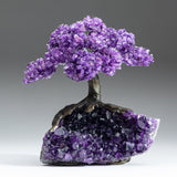 Genuine Amethyst Clustered Gemstone Tree on Amethyst Matrix - The Protection Tree (7 inches)