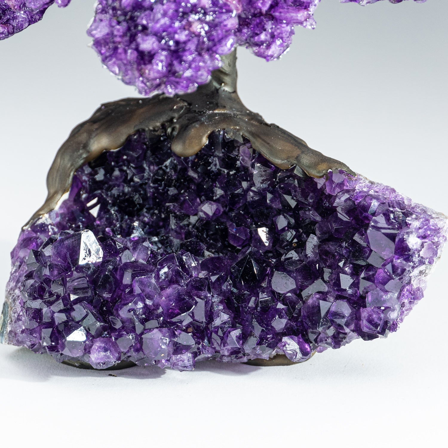 Genuine Amethyst Clustered Gemstone Tree on Amethyst Matrix - The Protection Tree (7 inches)