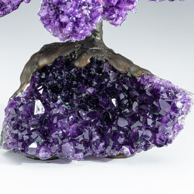 Genuine Amethyst Clustered Gemstone Tree on Amethyst Matrix - The Protection Tree (7 inches)