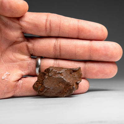 Genuine Gebel Kamil Meteorite from Egypt (65 grams) by Astro Gallery of Gems - product image 3 for Resin Society