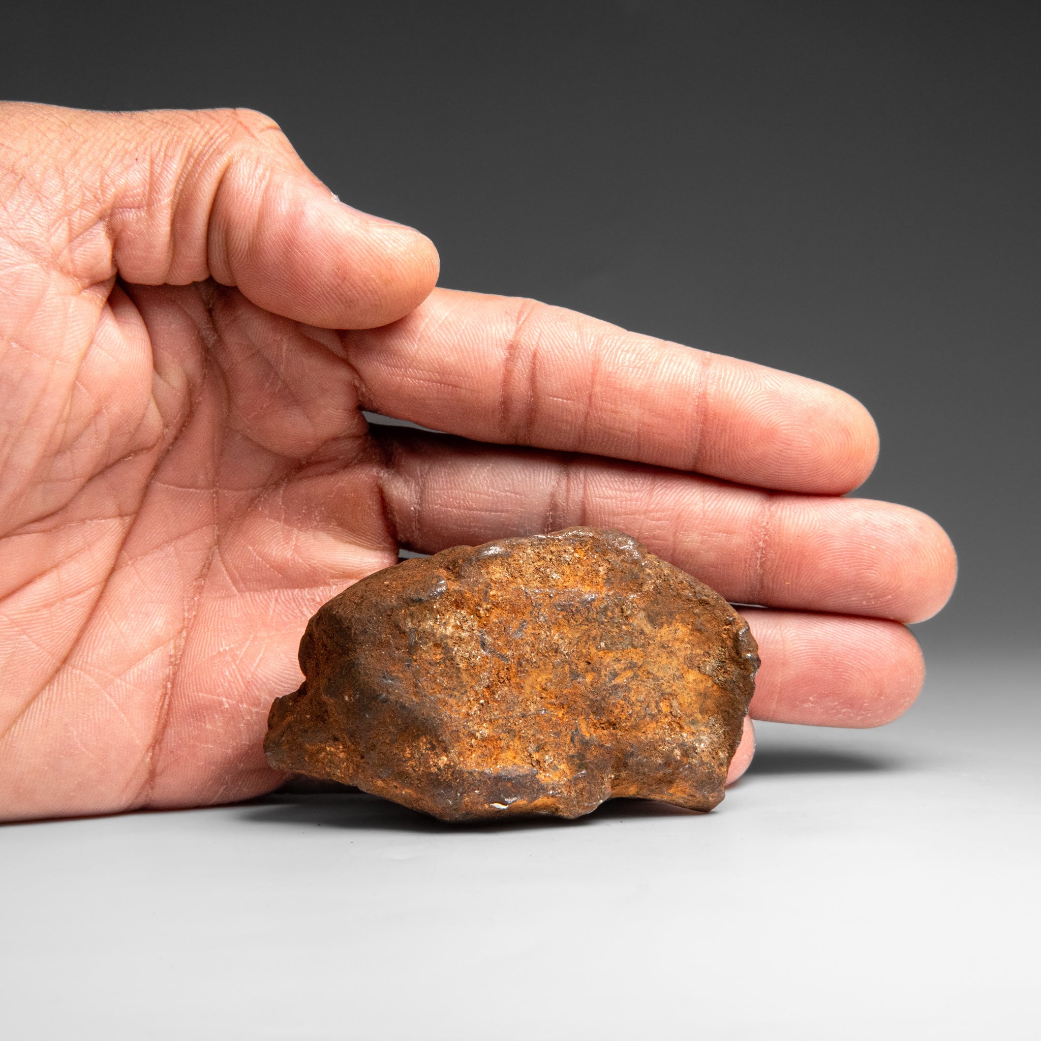 Genuine Gebel Kamil Meteorite from Egypt (242 grams) by Astro Gallery of Gems - product image 3 for Resin Society