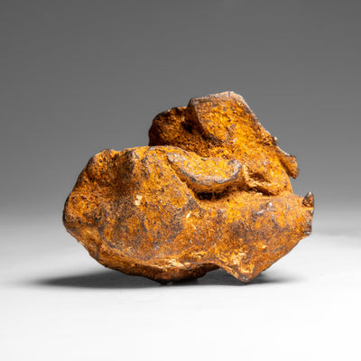 Genuine Gebel Kamil Meteorite from Egypt (360 grams) by Astro Gallery of Gems - main product image for Resin Society
